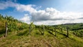 View of famous wine region Goriska Brda hills in Slovenia Royalty Free Stock Photo